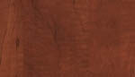 ���� �����: H1951 ST15. ��������� ������-����������